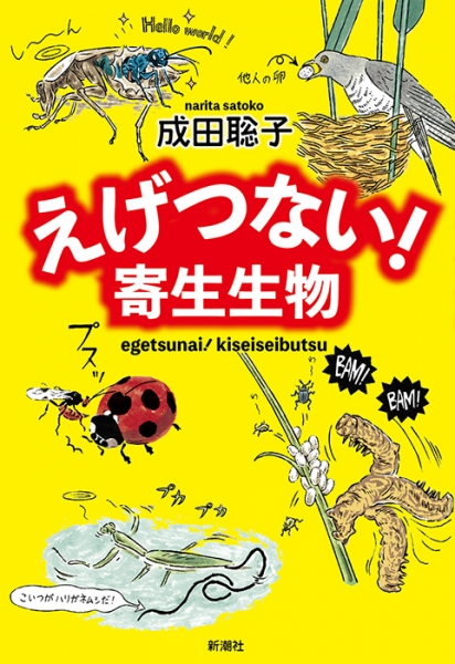 成虫 ハリガネムシ ハリガネムシは飼育できる？成虫・天敵・生態・出し方を解説