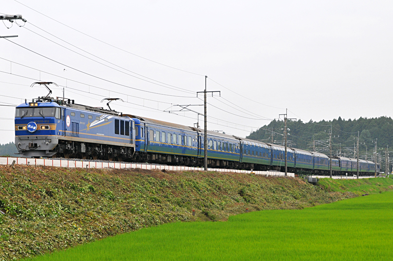 http://www.shinchosha.co.jp/railmap/blog/sden/20131111_03.jpg