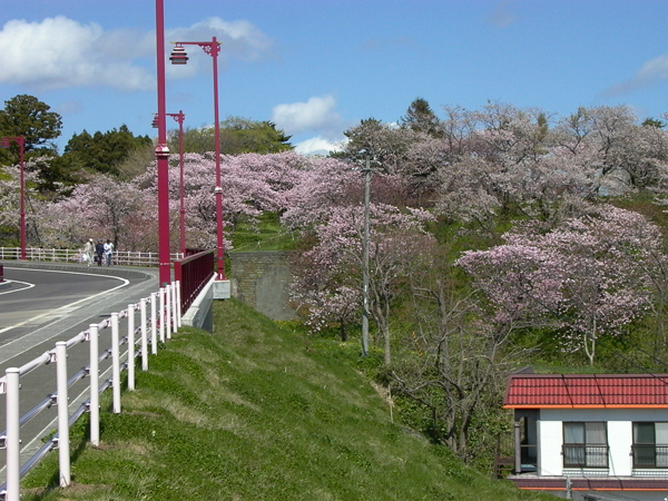 http://www.shinchosha.co.jp/railmap/blog/sden/20140328_04.jpg