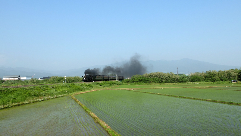 http://www.shinchosha.co.jp/railmap/blog/sden/20140604_03.JPG