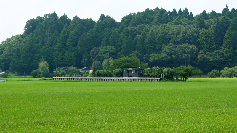 http://www.shinchosha.co.jp/railmap/blog/sden/kawama.JPG