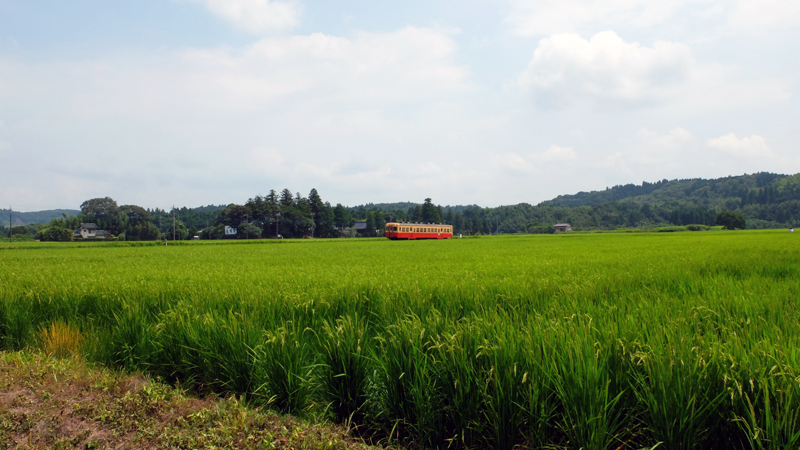 http://www.shinchosha.co.jp/railmap/blog/sden/tsurumai3.JPG