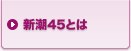 新潮45とは