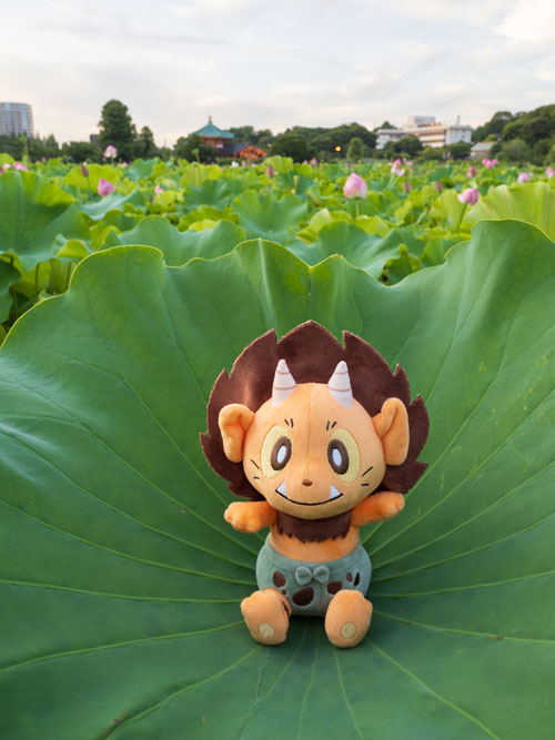 芸術新潮　2020 2.3.4.5.7.8.9.10.11.12 芸術新潮 2020 2.3.4.5.7.8.9.10.11.12 芸術新潮 2020年09月号 |