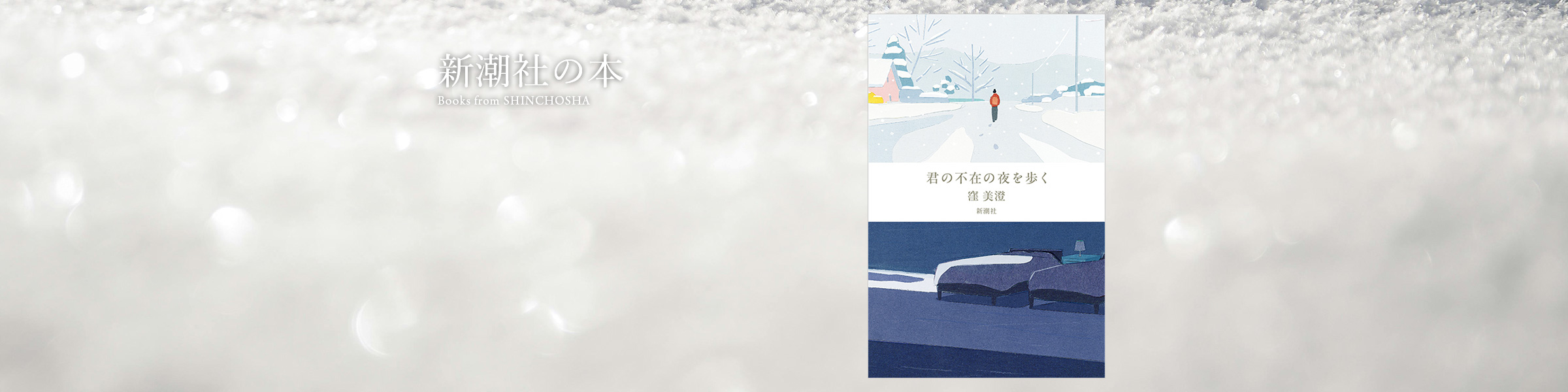窪美澄『君の不在の夜を歩く』