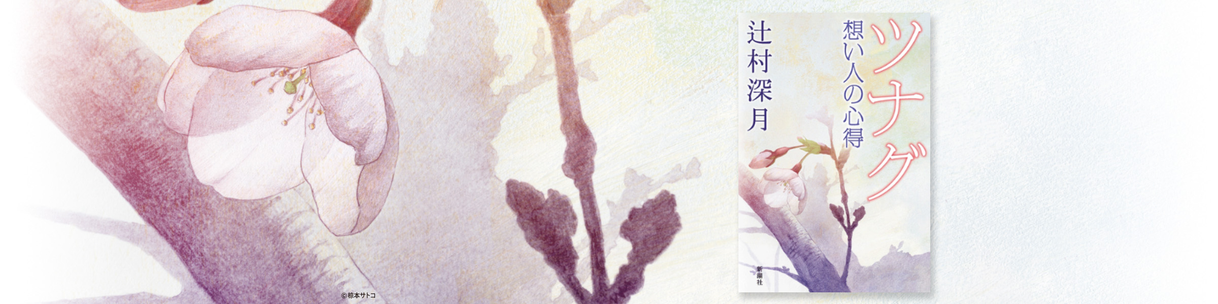 辻村深月『ツナグ 想い人の心得』