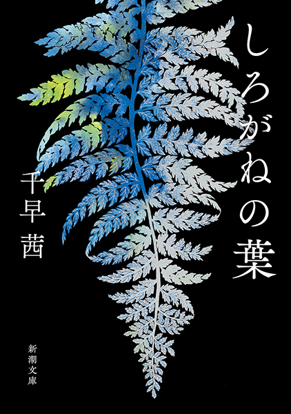 千早茜　17冊セット　まとめ売り 千早茜 -しろがねの葉 | stacks bookstore
