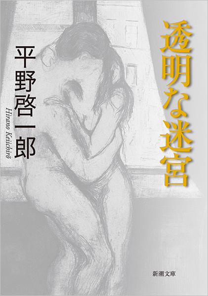 透明な迷宮 表紙