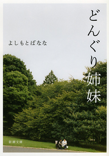 どんぐりアート 七夕 星に願いを☆彡✾夏オブジェ 丸太 星 流木