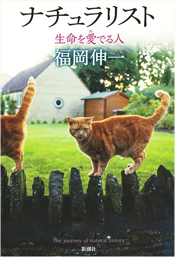 332212_xl.jpg