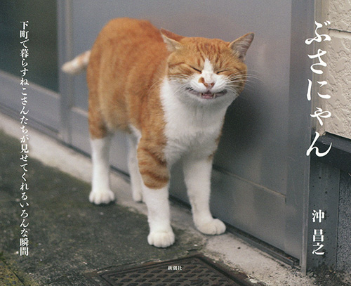 沖昌之 ぶさにゃん 新潮社 沖昌之 ぶさにゃん 新潮社