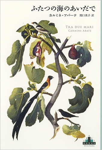 3540 外国切手 グレナティーン諸島 1995年 海の生物 美しいデザイン