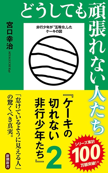 宮口幸治 どうしても頑張れない人たち ケーキの切れない非行少年たち2 新潮社