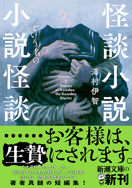怪談小説という名の小説怪談』 澤村伊智 | 新潮社