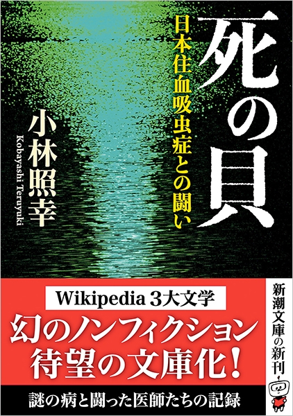 主観欠損症候群評価尺度 : 日本語版<SDSS-J>(湖海正尋, 稲田俊也