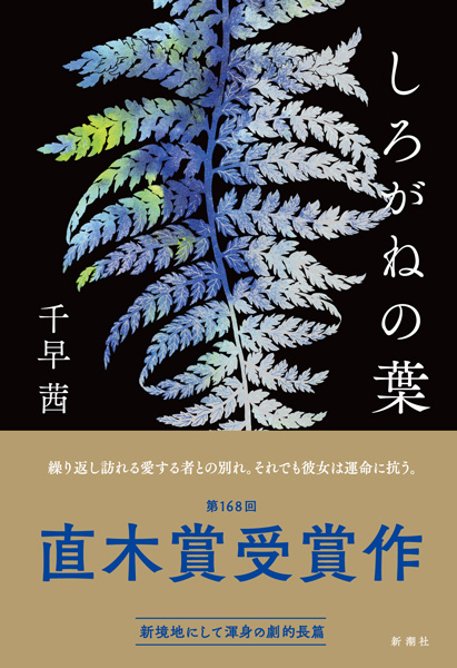 ヒマラヤ＜あかね書房＞【ヒマラヤ名著全集】１０冊＜全１２巻＝第４巻・１２巻欠け＞ Amazon.co.jp: 『V28C1』少年少女 世界ノンフィクション全集 全