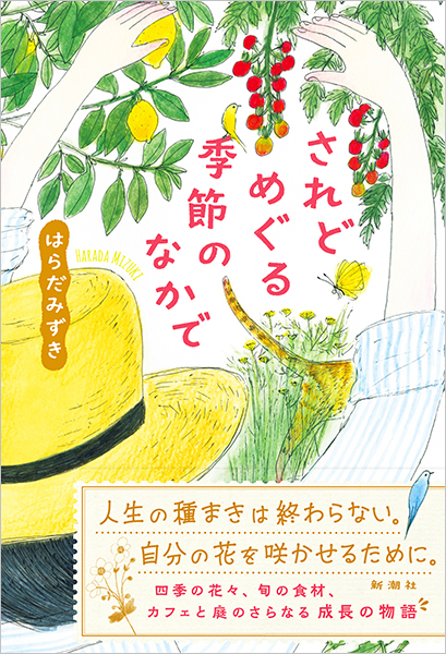 335553_4228_raw.jpg
