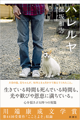 Amazon.co.jp: 小説の誕生 (中公文庫 ほ 12-13) : 保坂 和志: 本