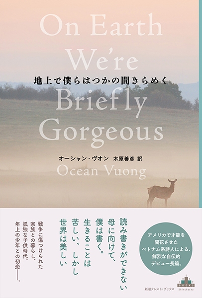 地上で僕らはつかの間きらめく』 オーシャン・ヴオン、木原善彦／訳