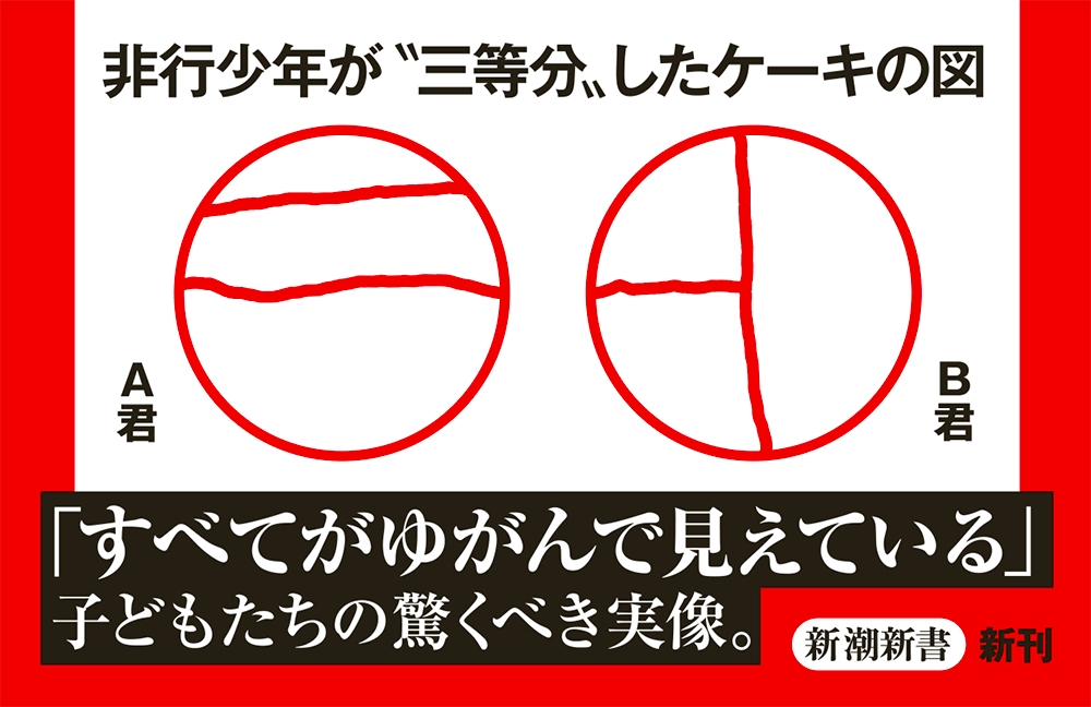 ケーキの切れない非行少年たち』 宮口幸治 | 新潮社
