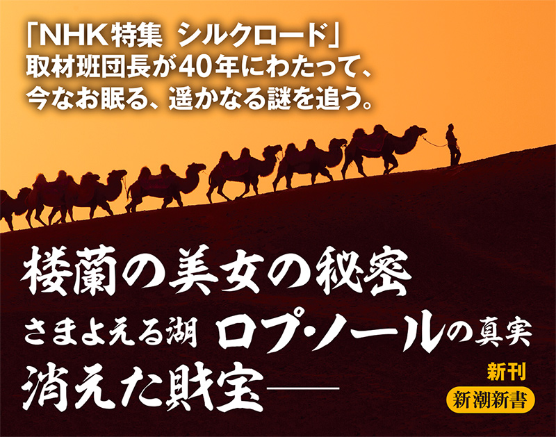 シルクロード―流沙に消えた西域三十六か国―』 中村清次 | 新潮社