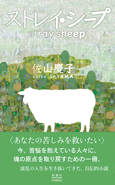 910301_4164_raw.jpg