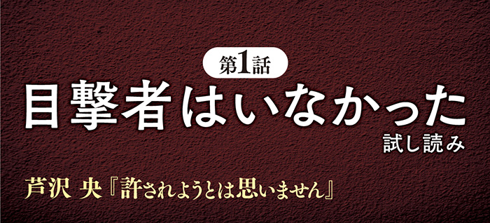 目撃者はいなかった