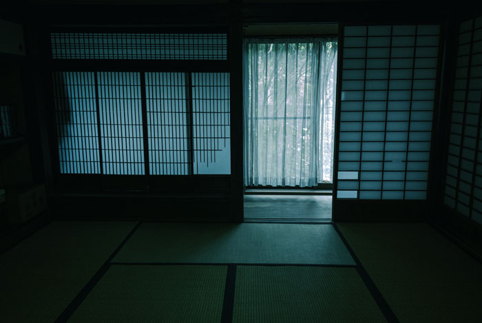 血腐れ
矢樹純/著