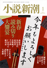 小説新潮 昭和47~54年 20冊 小説新潮 昭和47~54年