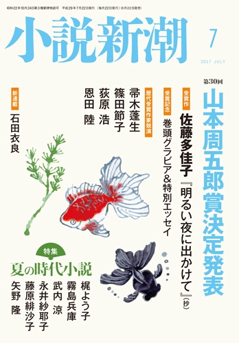 小説新潮　昭和47~54年 20冊 小説新潮 昭和47~54年 20冊 小説新潮 昭和47~54年 20冊