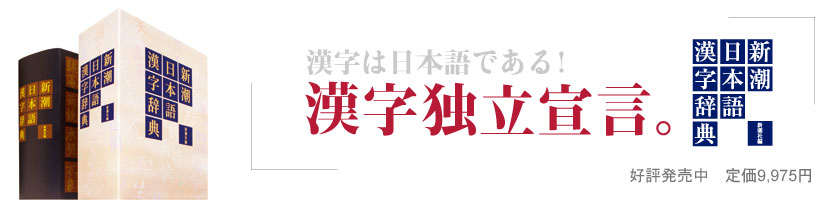 【美品・書き込み無し】新潮日本語漢字辞典