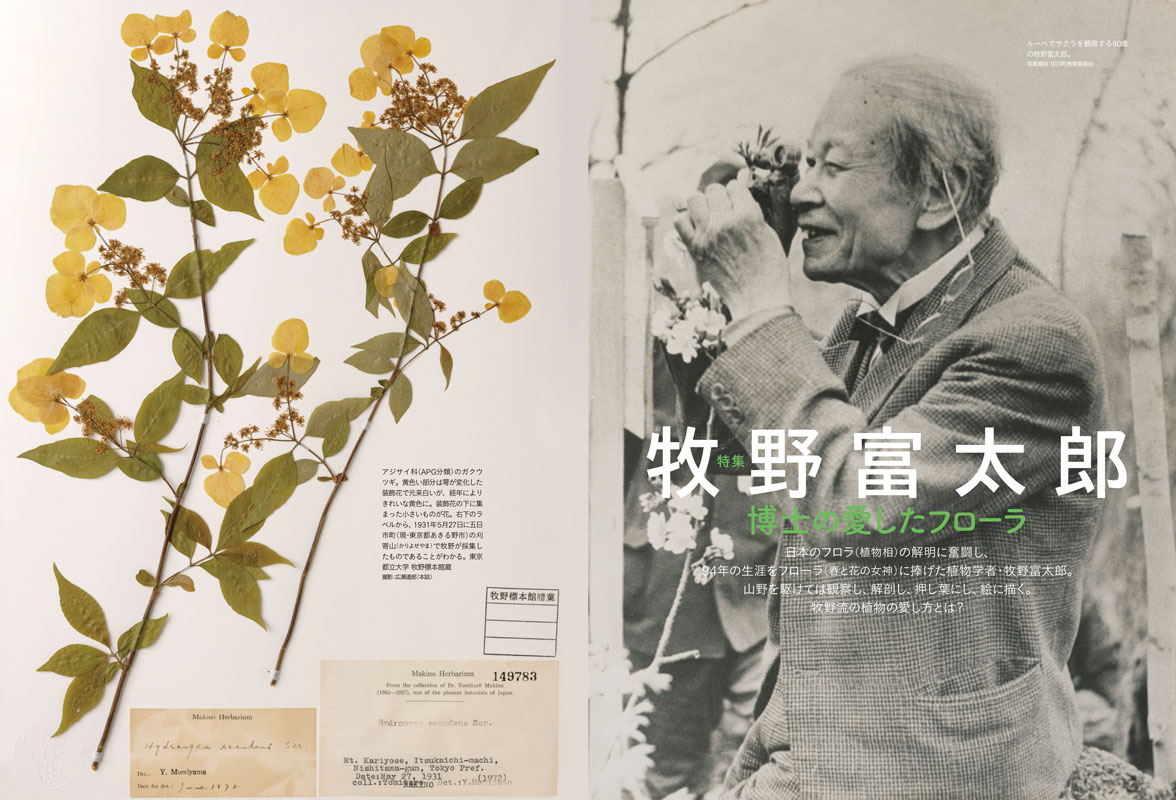 芸術新潮