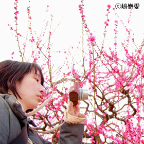 白木凜