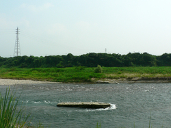 20140225_02.jpg