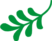 ico_leaf