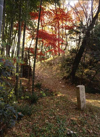 白洲邸の庭（東京町田市鶴川）